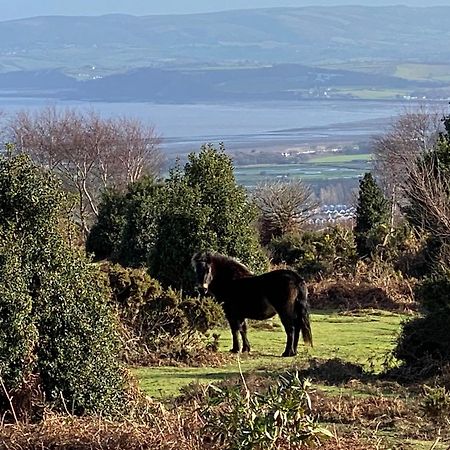 Exmoor Retreat On Two Moors Way Withypool Eksteriør billede