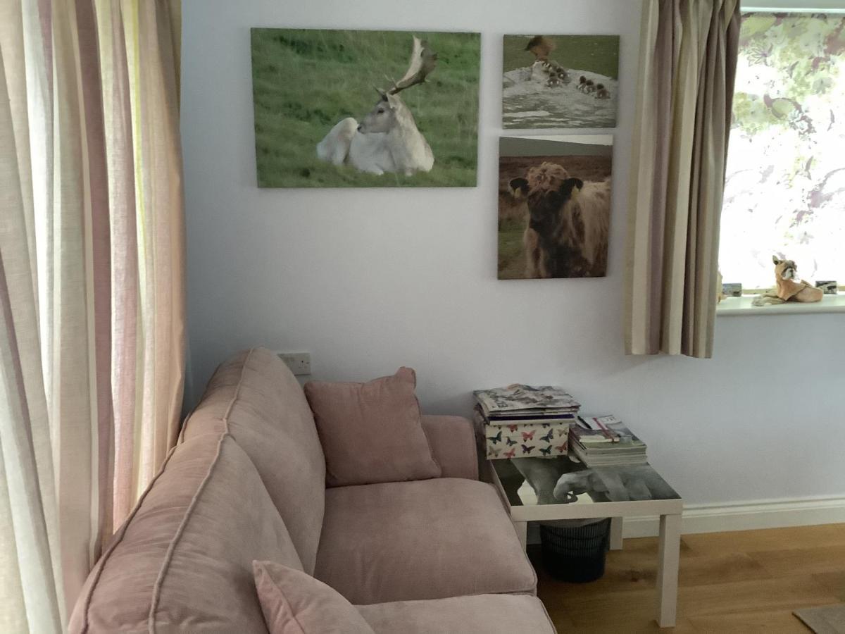 Exmoor Retreat On Two Moors Way Withypool Eksteriør billede