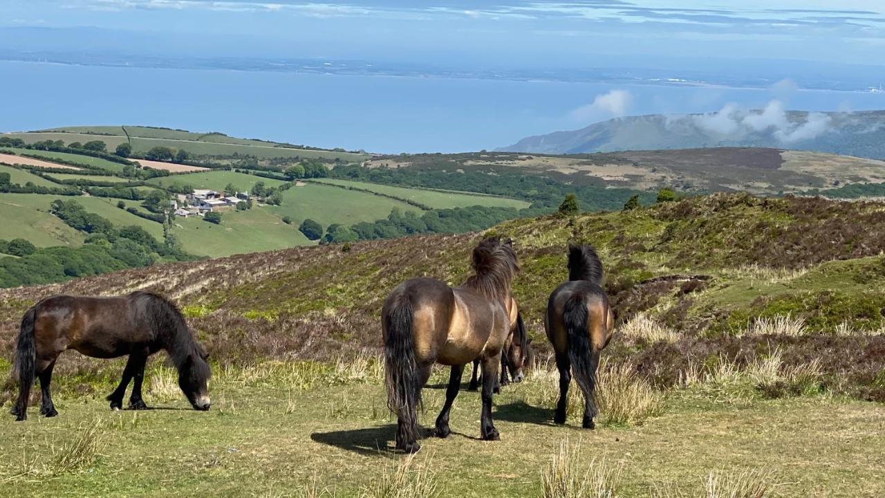 Exmoor Retreat On Two Moors Way Withypool Eksteriør billede