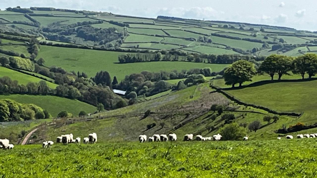 Exmoor Retreat On Two Moors Way Withypool Eksteriør billede