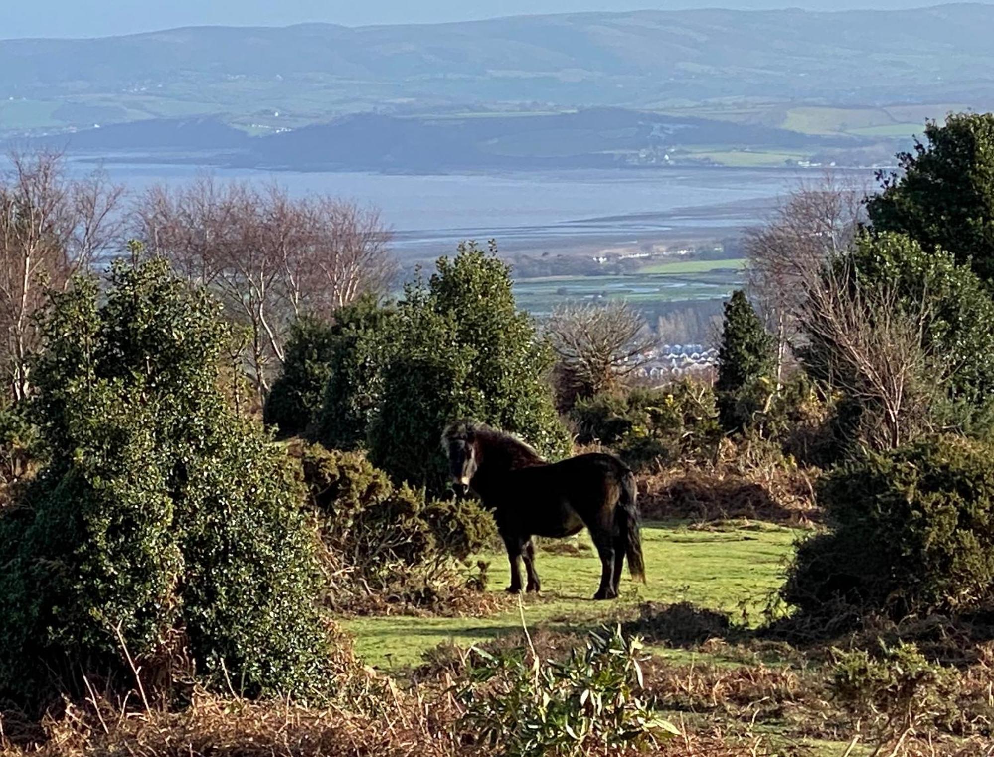 Exmoor Retreat On Two Moors Way Withypool Eksteriør billede