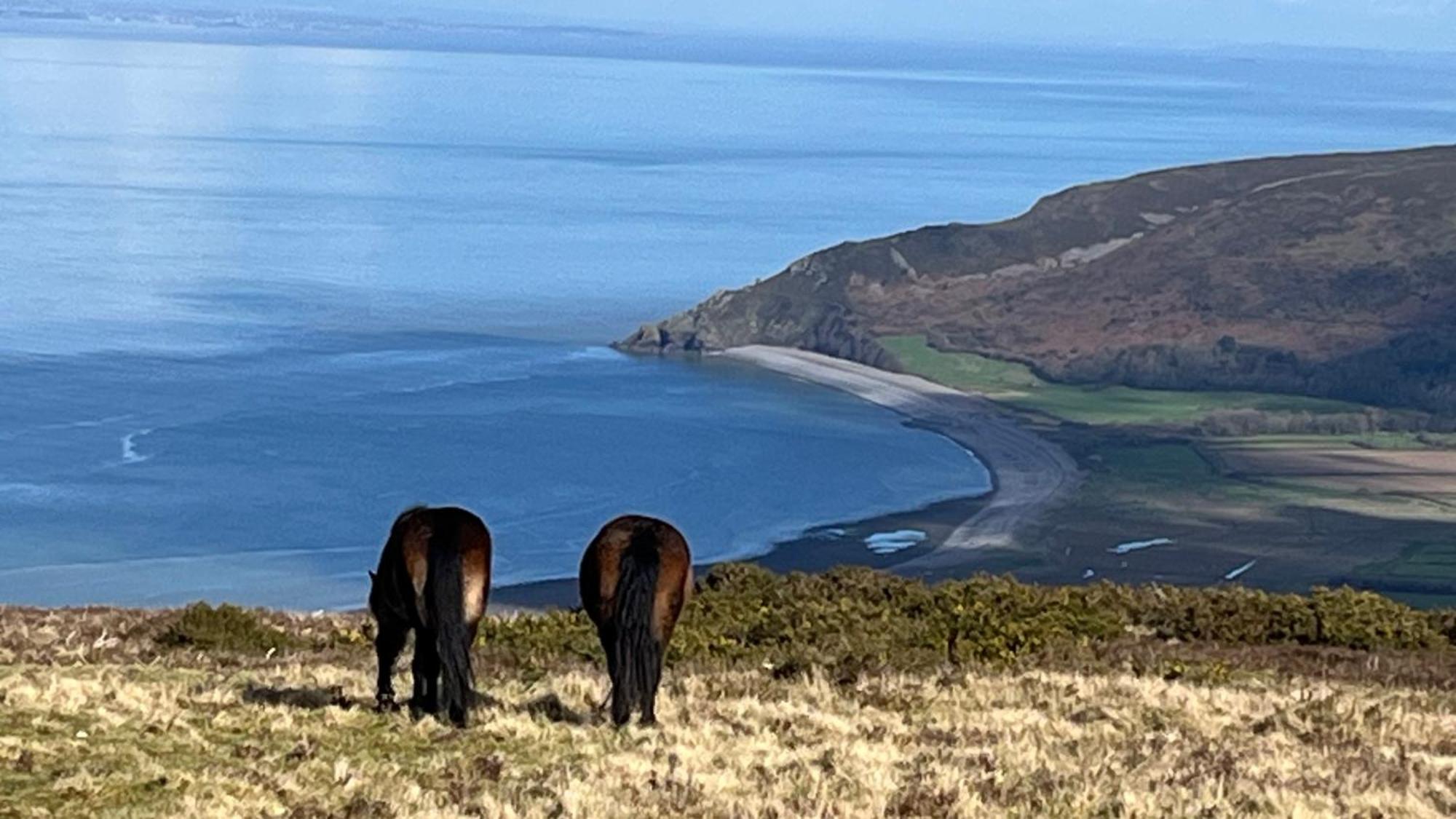 Exmoor Retreat On Two Moors Way Withypool Eksteriør billede